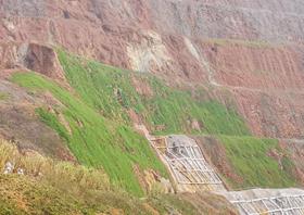 紫金山金銅礦露采748-796邊坡生態修復