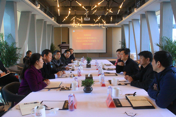 南京市六合區副區長施勇君、華北電力大學資產公司總經理助理胡鶴齡一行訪問百靈天地